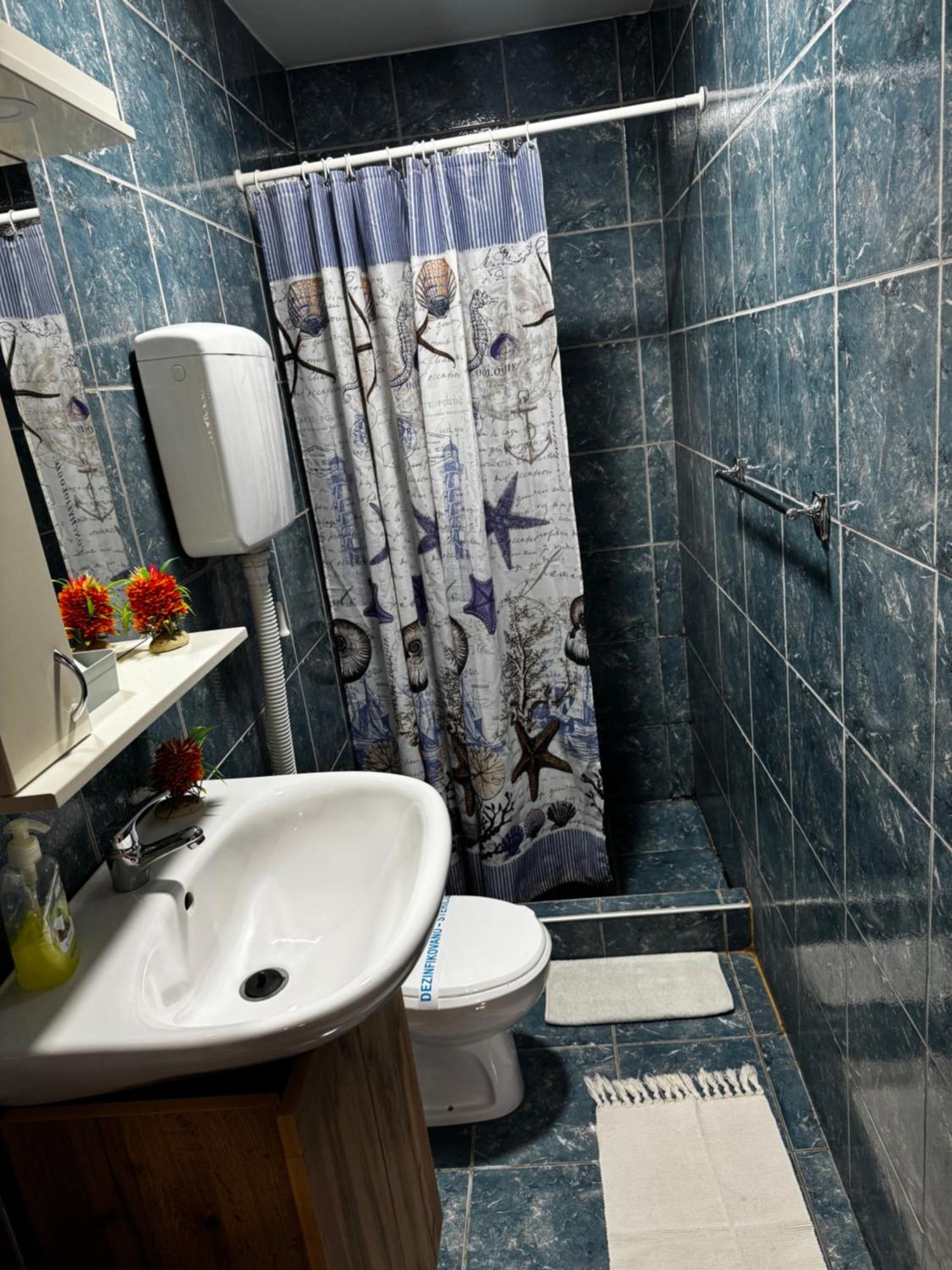 Apartments Vila Brzi & Beka Šabac 外观 照片