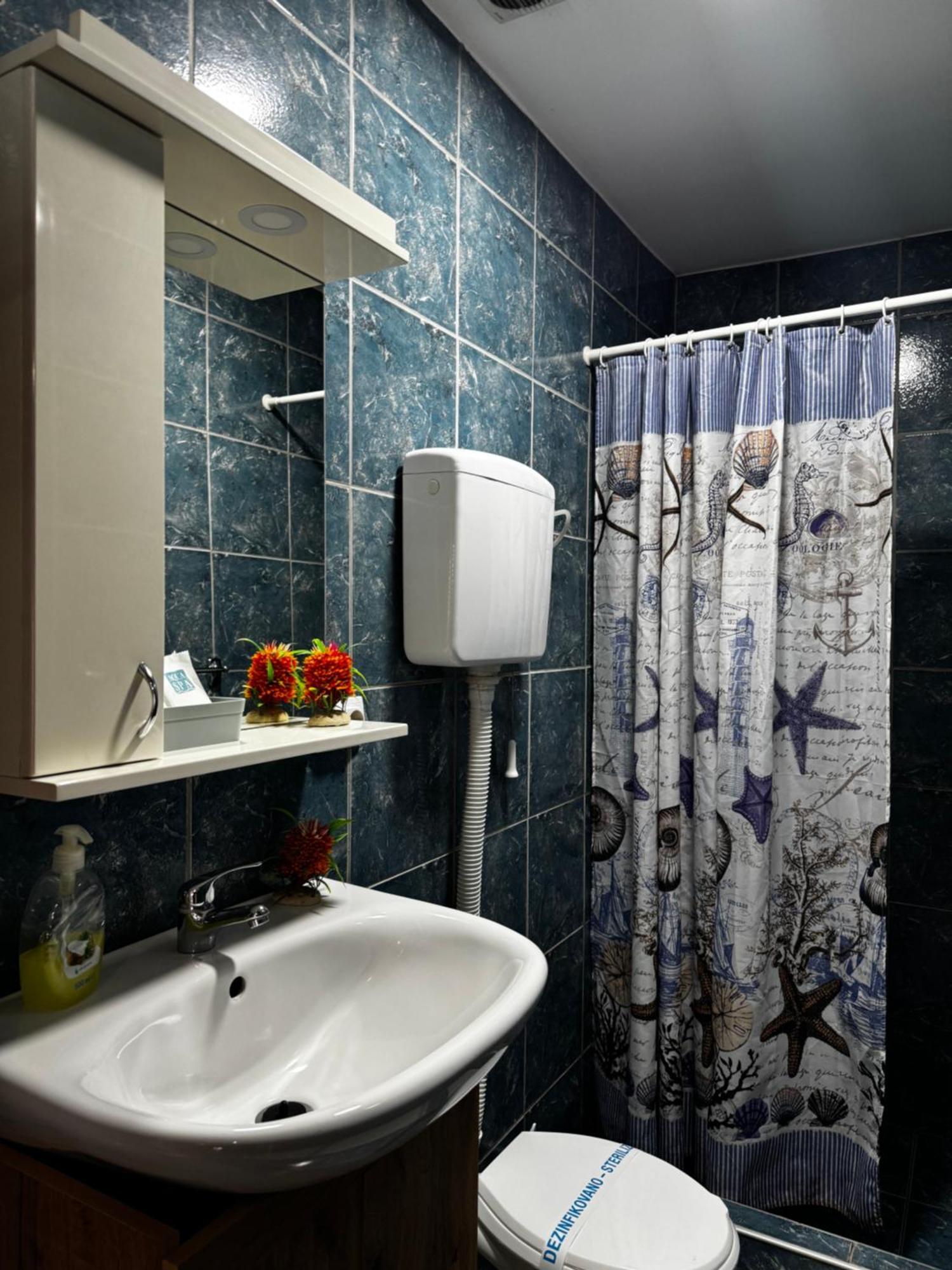 Apartments Vila Brzi & Beka Šabac 外观 照片